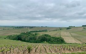 Au Coeur Des Vignes Chablisiennes